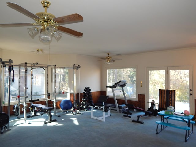 exercise area with ceiling fan, wood walls, carpet floors, and ornamental molding