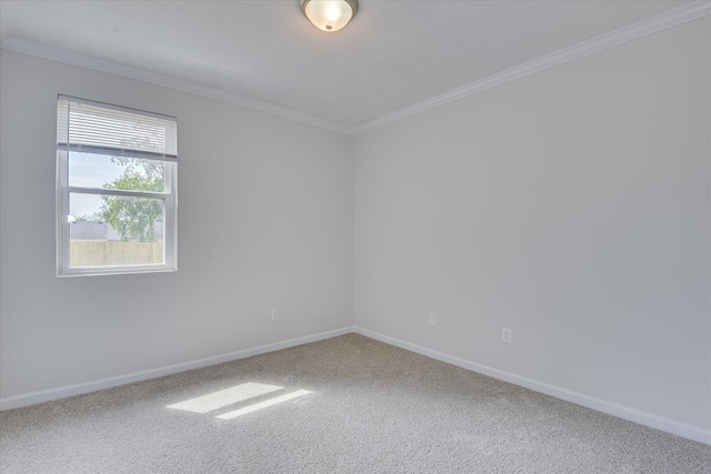 301 Cobblestone Ct, Martinez, GA 30907 - carpeted spare room featuring baseboards and crown molding