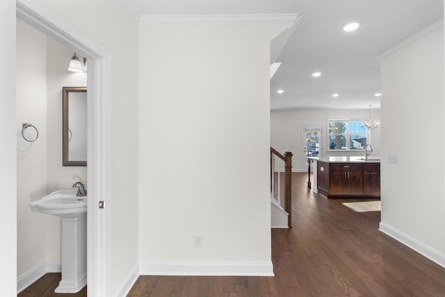 corridor with dark hardwood / wood-style floors, sink, crown molding, and a notable chandelier