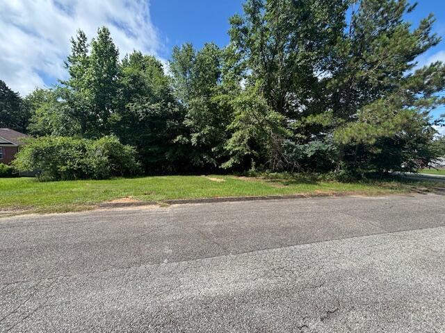 117 Oakwood Dr, Harlem, GA 30814 - photo 3