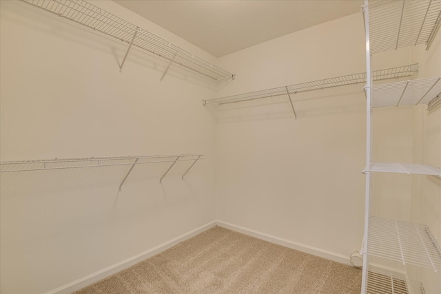 spacious closet featuring light carpet