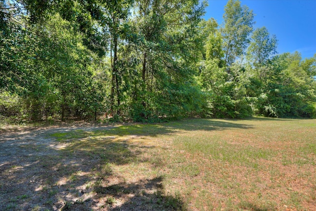 view of green lawn with a wooded view