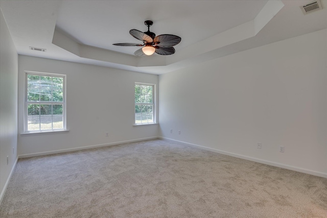 unfurnished room featuring a tray ceiling, carpet, and plenty of natural light