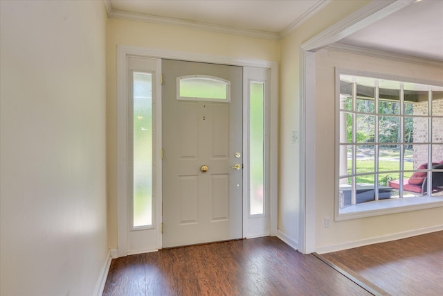 entryway featuring dark wood-type flooring, plenty of natural light, baseboards, and ornamental molding
