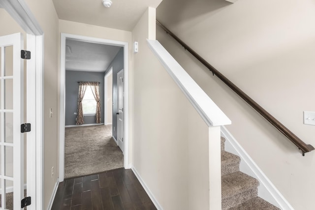 staircase with carpet