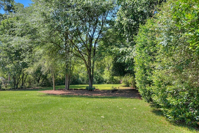 2382 Patrick Ave, Hephzibah, GA 30815 - view of grassy yard