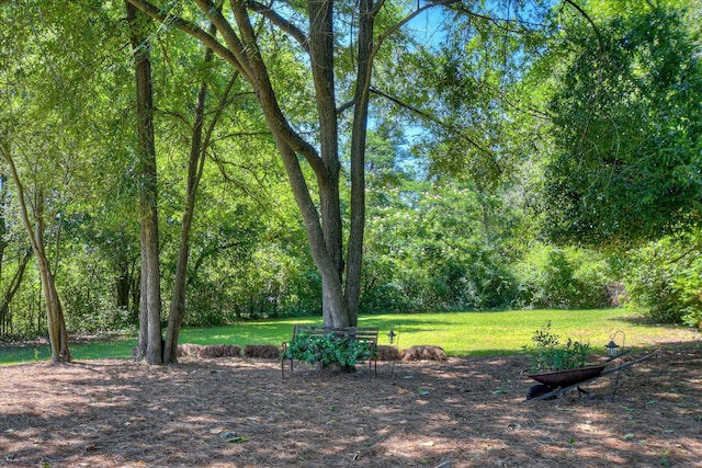 2382 Patrick Ave, Hephzibah, GA 30815 - view of green lawn