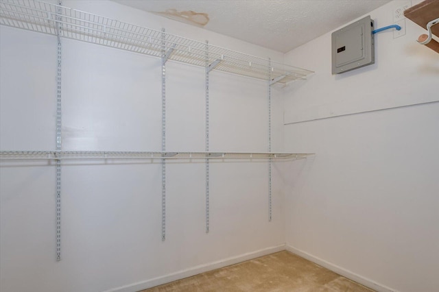 spacious closet with electric panel