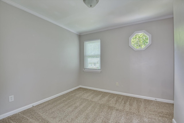 216 Dry Creek Rd, Evans, GA 30809 - carpeted spare room featuring baseboards, plenty of natural light, and ornamental molding