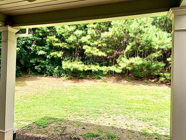 1124 Waltons Pass, Evans, GA 30809 - photo 50