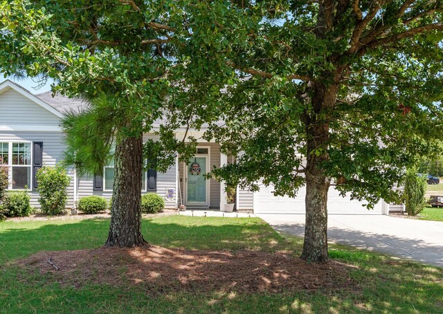 125 Macedonia Rd, North Augusta, SC 29860 - photo 2