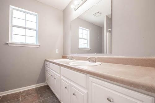 bathroom featuring vanity and a wealth of natural light