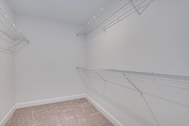 359 Sumac Trl, Evans, GA 30809 - spacious closet with carpet flooring