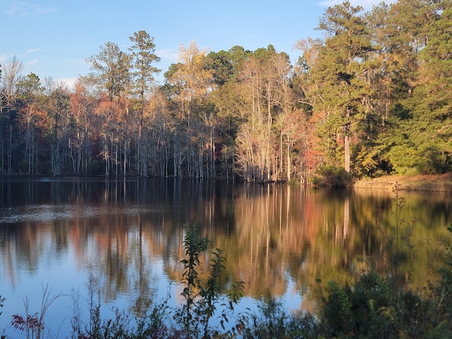 view of water feature featuring a wooded view