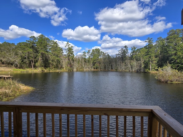 property view of water featuring a forest view