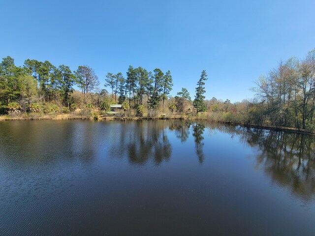 property view of water with a forest view