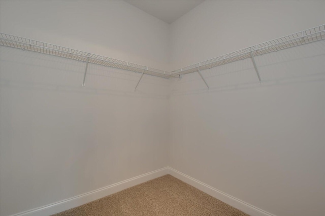 walk in closet with light colored carpet