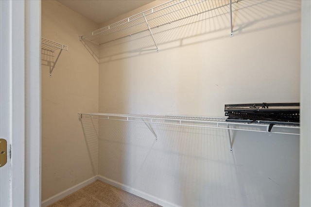 2071 Lake Forest Dr, Grovetown, GA 30813 - walk in closet with carpet flooring