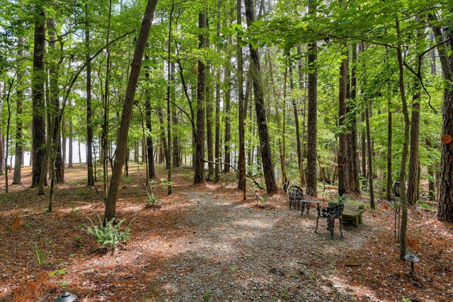203 Jacque Cir, Mccormick, SC 29835 - view of yard