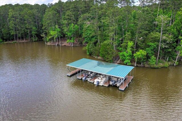 203 Jacque Cir, Mccormick, SC 29835 - dock with boat lift, a water view, and a view of trees