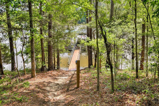 203 Jacque Cir, Mccormick, SC 29835 - view of yard featuring a boat dock, a water view, and a wooded view