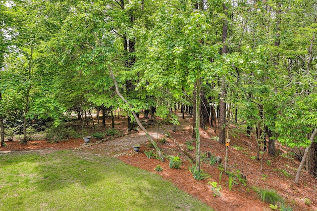203 Jacque Cir, Mccormick, SC 29835 - view of grassy yard