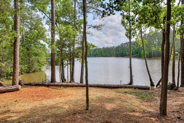 203 Jacque Cir, Mccormick, SC 29835 - water view featuring a forest