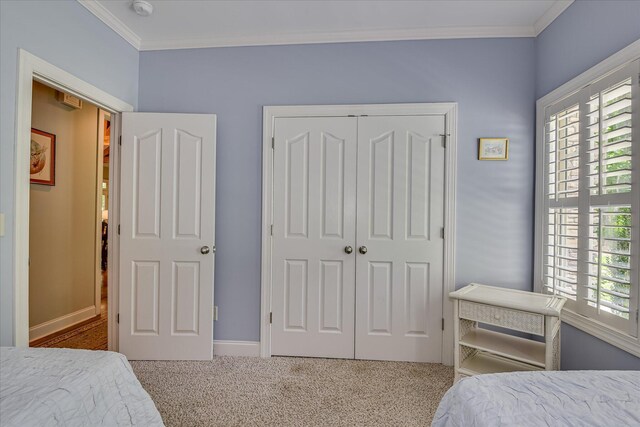203 Jacque Cir, Mccormick, SC 29835 - carpeted bedroom featuring ornamental molding, a closet, and baseboards