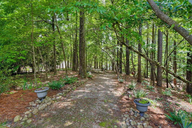 203 Jacque Cir, Mccormick, SC 29835 - view of yard featuring a view of trees