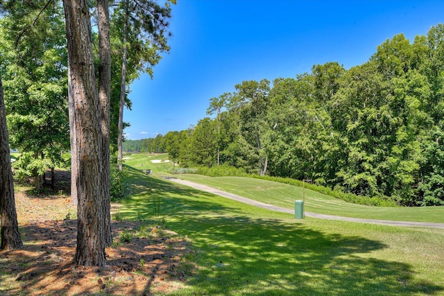 view of home's community with a yard