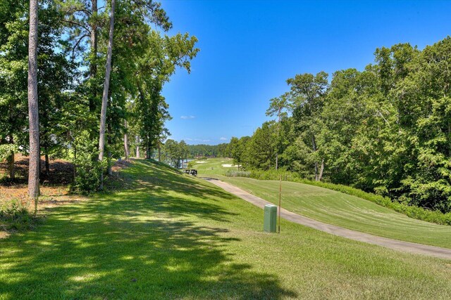 view of community featuring a yard