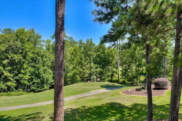 view of property's community featuring a lawn