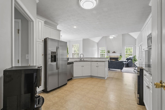 1629 Jamestown Ave, Evans, GA 30809 - kitchen featuring appliances with stainless steel finishes, a warm lit fireplace, a peninsula, open floor plan, and healthy amount of natural light