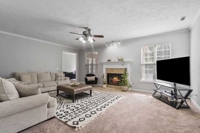 1629 Jamestown Ave, Evans, GA 30809 - carpeted living room featuring ceiling fan, ornamental molding, a fireplace, a textured ceiling, and baseboards