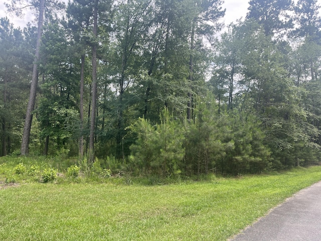 L13B3 Placid Cove Ln, Mccormick SC, 29835 land for sale