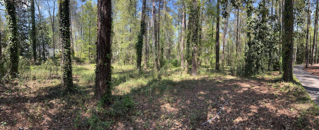 12 Summerville Ln, Augusta, GA 30909