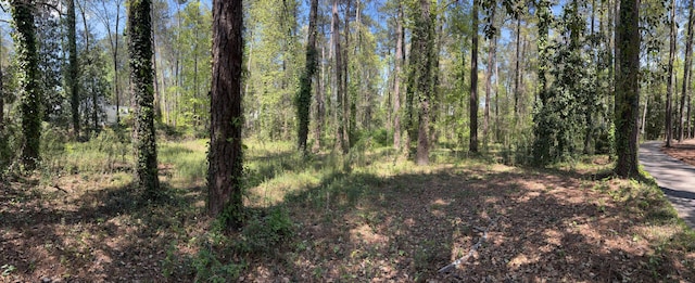 12 Summerville Ln, Augusta, GA 30909