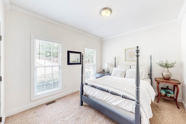 184 Deer Springs Rd, Clarks Hill, SC 29821 - bedroom featuring ornamental molding, light carpet, and baseboards