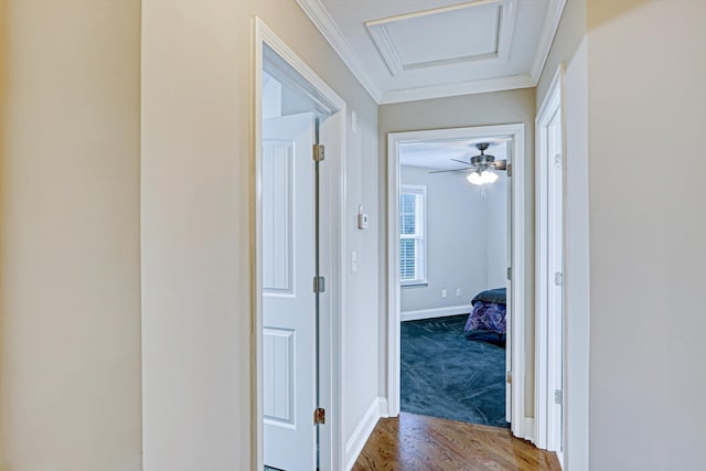 1009 Neilson St, Aiken, SC 29803 - hall with wood finished floors, baseboards, carpet, and crown molding