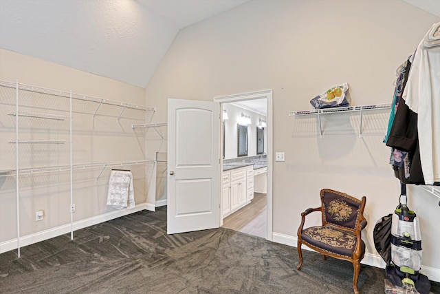 1009 Neilson St, Aiken, SC 29803 - walk in closet featuring vaulted ceiling and carpet floors