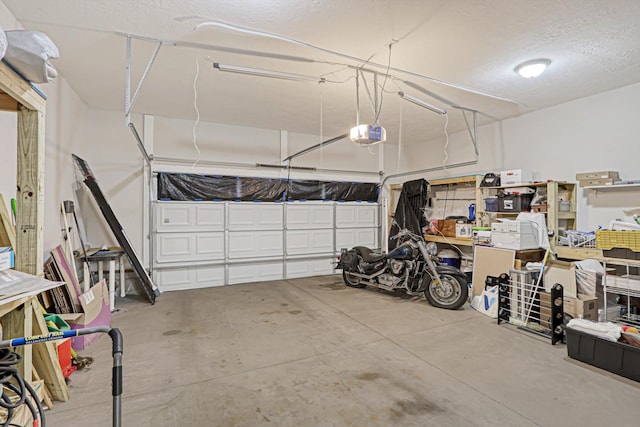 1009 Neilson St, Aiken, SC 29803 - garage with a garage door opener