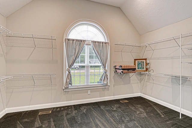 1009 Neilson St, Aiken, SC 29803 - walk in closet with lofted ceiling and dark carpet