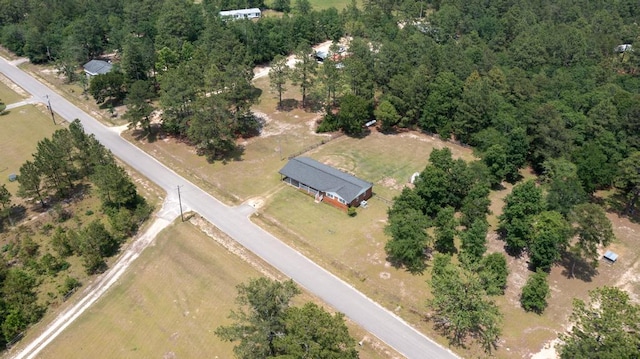 460 Archie Ware Rd, Ridge Spring, SC 29129 - aerial view of property and surrounding area