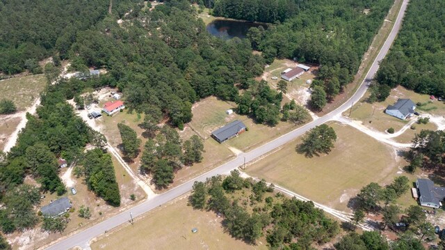 460 Archie Ware Rd, Ridge Spring, SC 29129 - aerial view of property's location with a forest