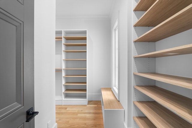 845 Audubon Way, Evans, GA 30809 - spacious closet featuring light wood finished floors