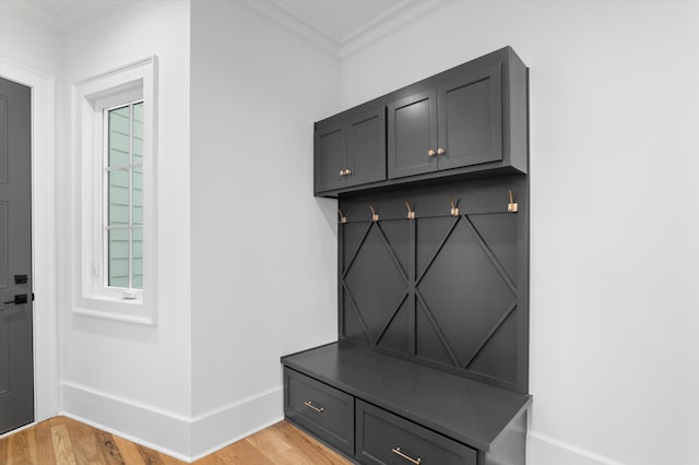 845 Audubon Way, Evans, GA 30809 - mudroom with ornamental molding, light wood-type flooring, and baseboards