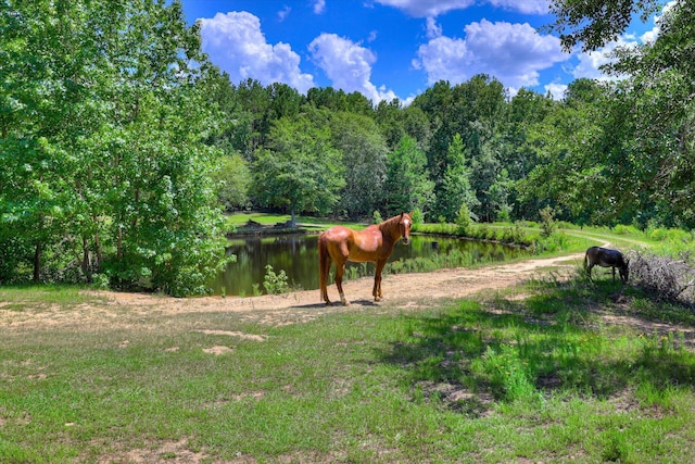 425 Whiskey Rd, Grovetown, GA 30813 - photo 29