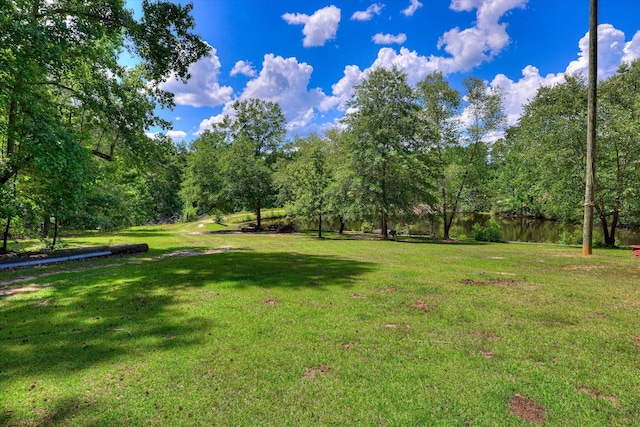425 Whiskey Rd, Grovetown, GA 30813 - photo 23
