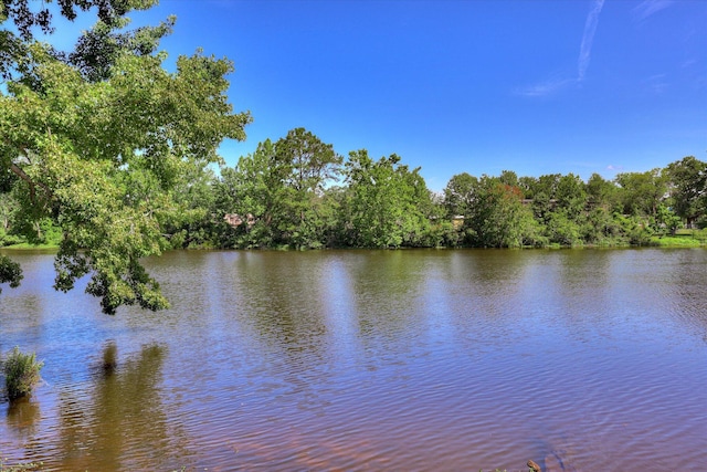 118 Lake Bluff Dr, Waynesboro, GA 30830 - water view