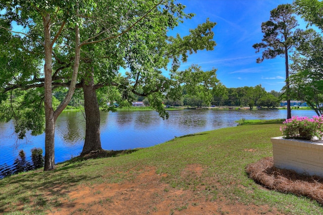 118 Lake Bluff Dr, Waynesboro, GA 30830 - water view